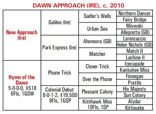 Dawn Approach Pedigree