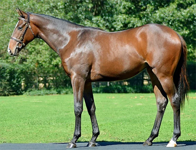 var white mischief - national yearling sale