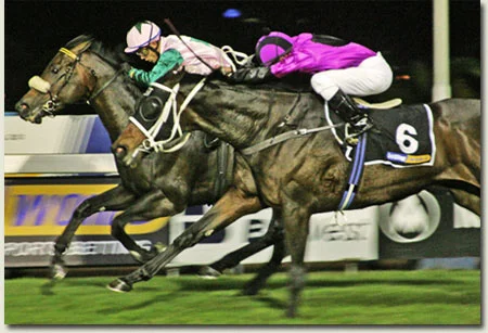 bold silvano betting world 1900