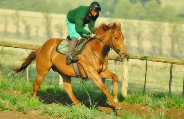 Thabiso Mgoza - Ready To Run Jockey