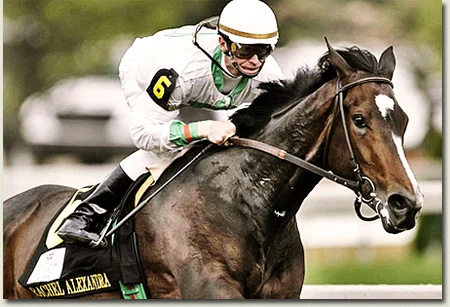 rachel alexandra