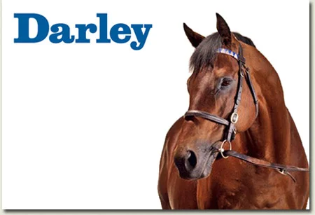 dubawi stallion at darley stud