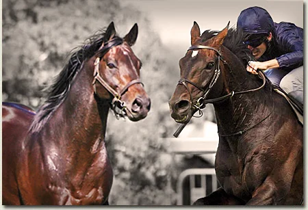 summerhills solskjaer and yeats