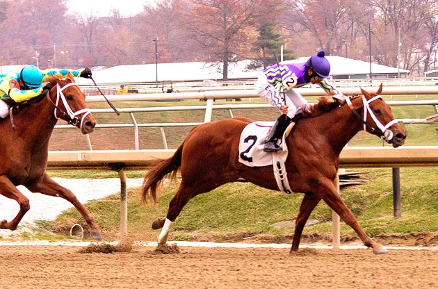 Bacopa Breeze - Smart Halo Stakes - by Visionaire