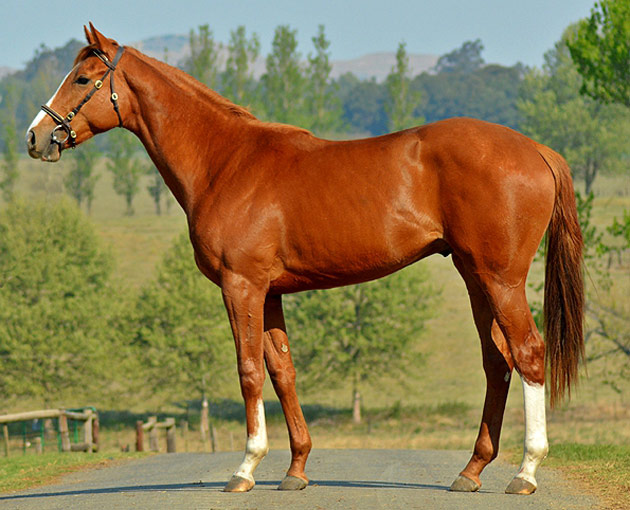 Lot 161: Petrichor (AP Arrow x Guest Gallery)