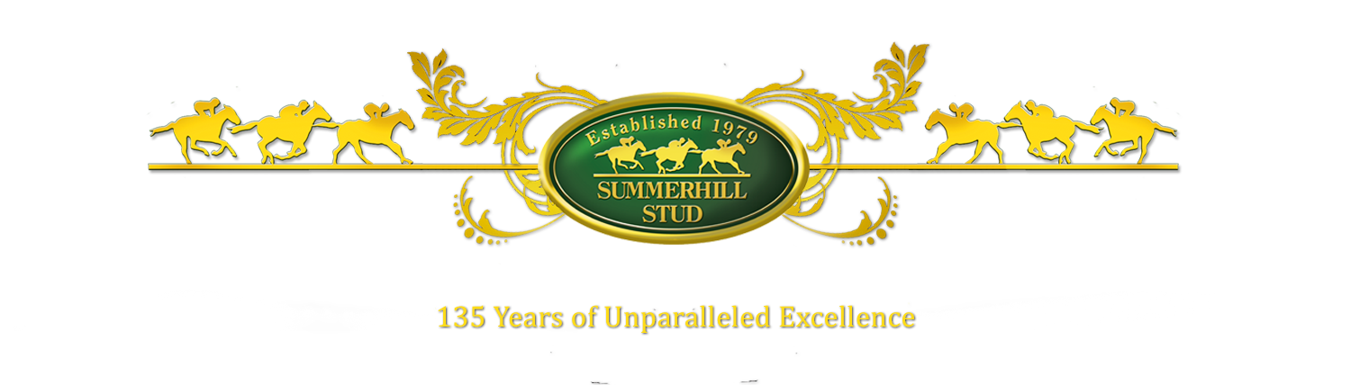 Summerhill Stud - 135 Years of Unparalled Excellence