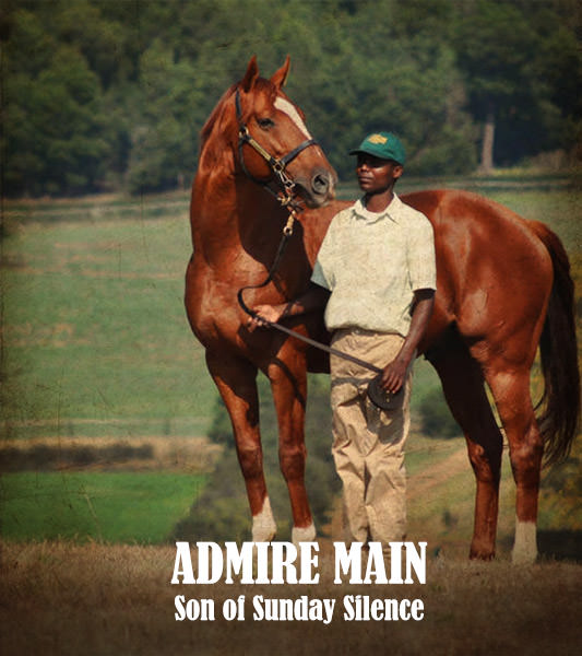 Admire Main by Sunday Silence