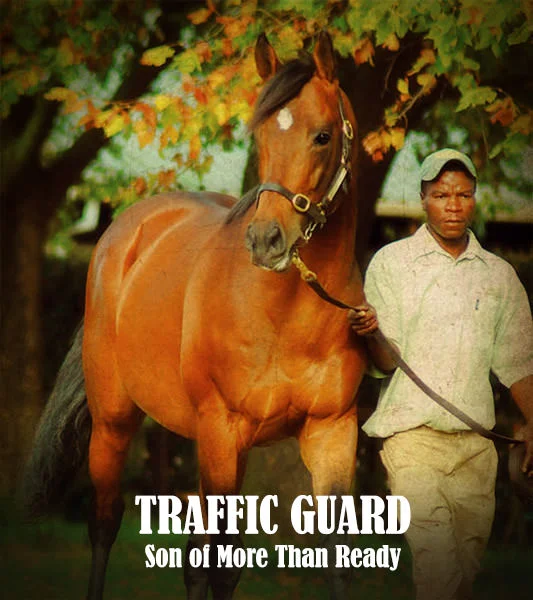 Traffic Guard byMore Than Ready