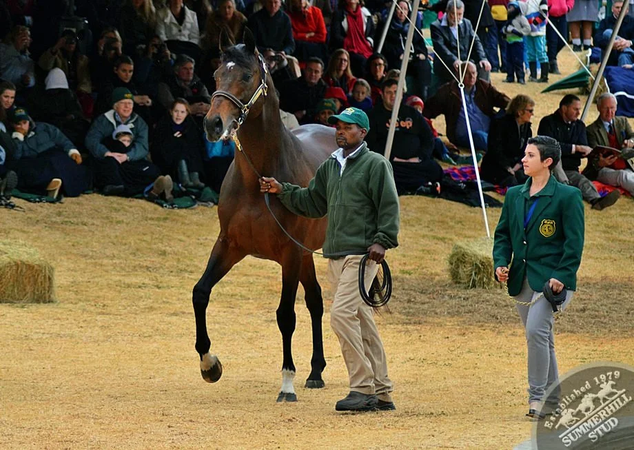 cathsseta-stallion-day-71.jpg