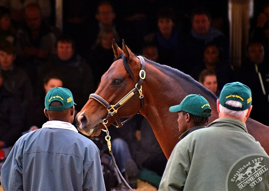 cathsseta-stallion-day-79.jpg