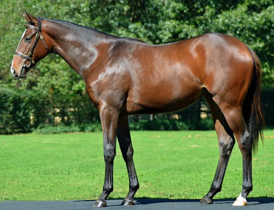 Lot 140 Var - White Mischief