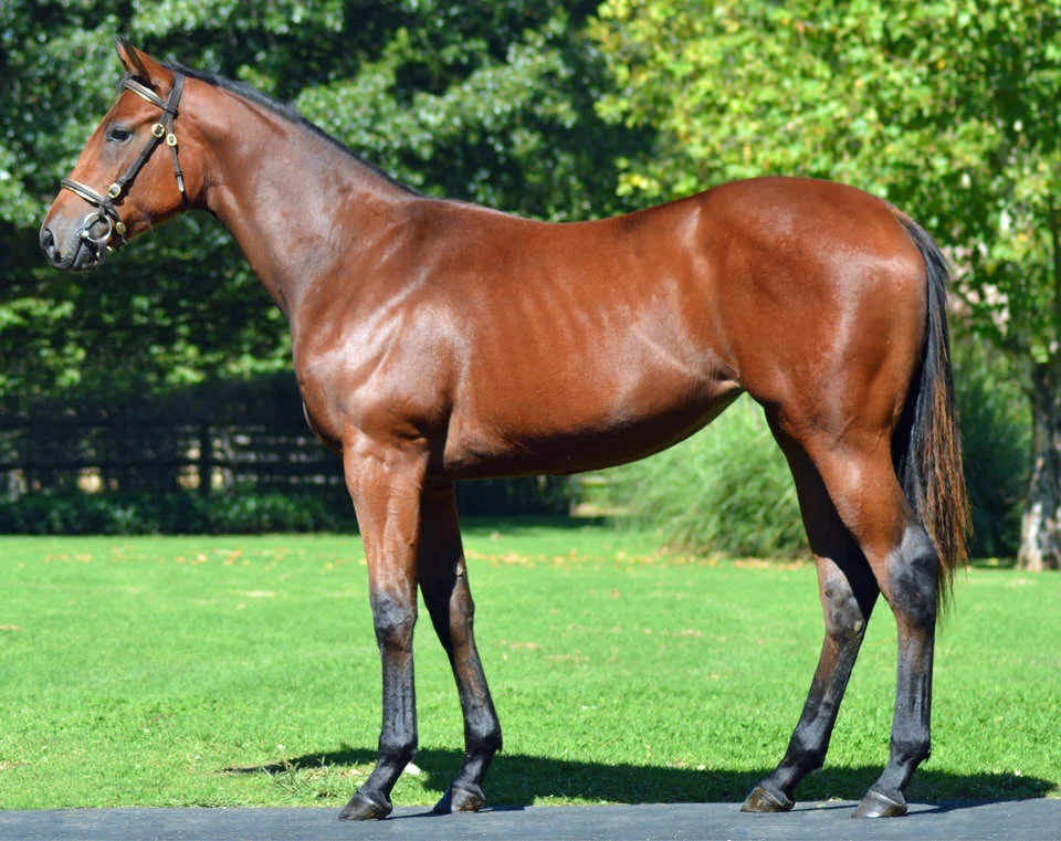 Lot 107 Silvano - Theres The Light