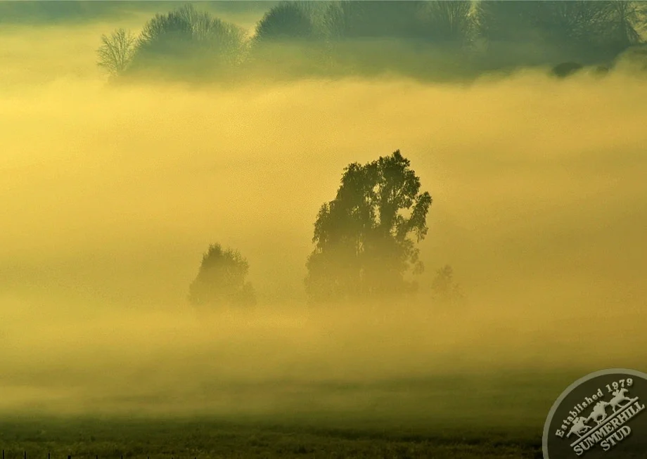 6-winter-day-kzn-midlands.jpg