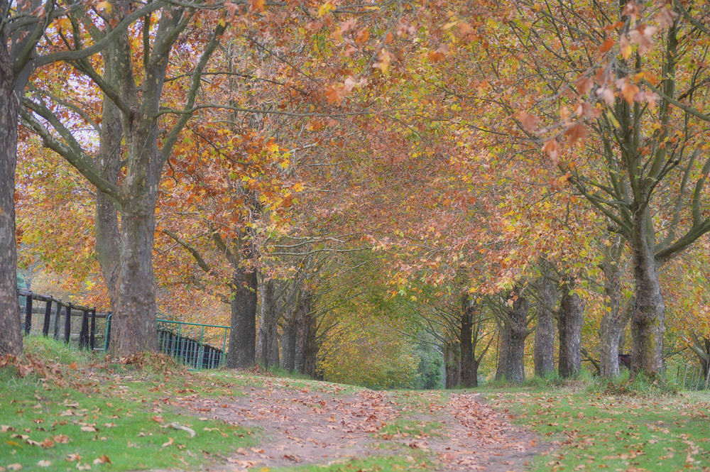 KwaZulu-Natal Autumn 18