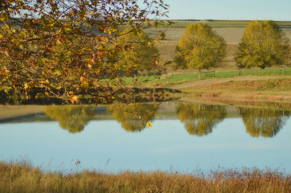 KwaZulu-Natal Autumn 10