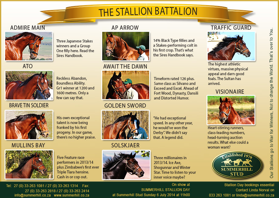 THE STALLION BATTALION