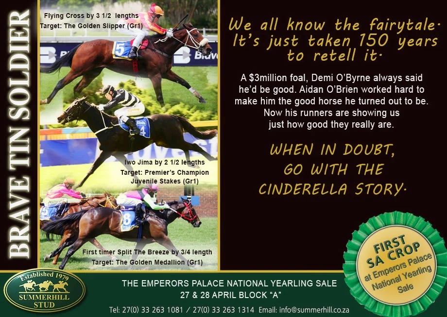 BRAVE TIN SOLDIER - National Yearling Sale 2014