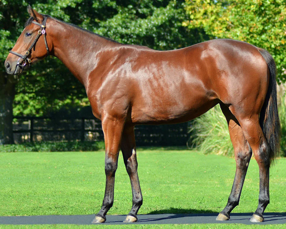 Lot 199 UNNAMED Mogok - Swiss Pearl