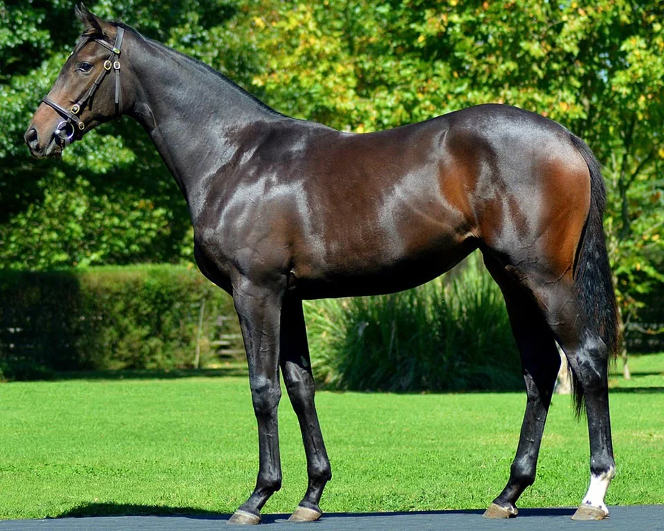 Lot 77 TAYLINLEE Brave Tin Soldier - Personify