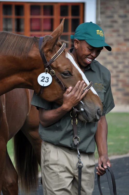 National Yearling Sale 2013 66