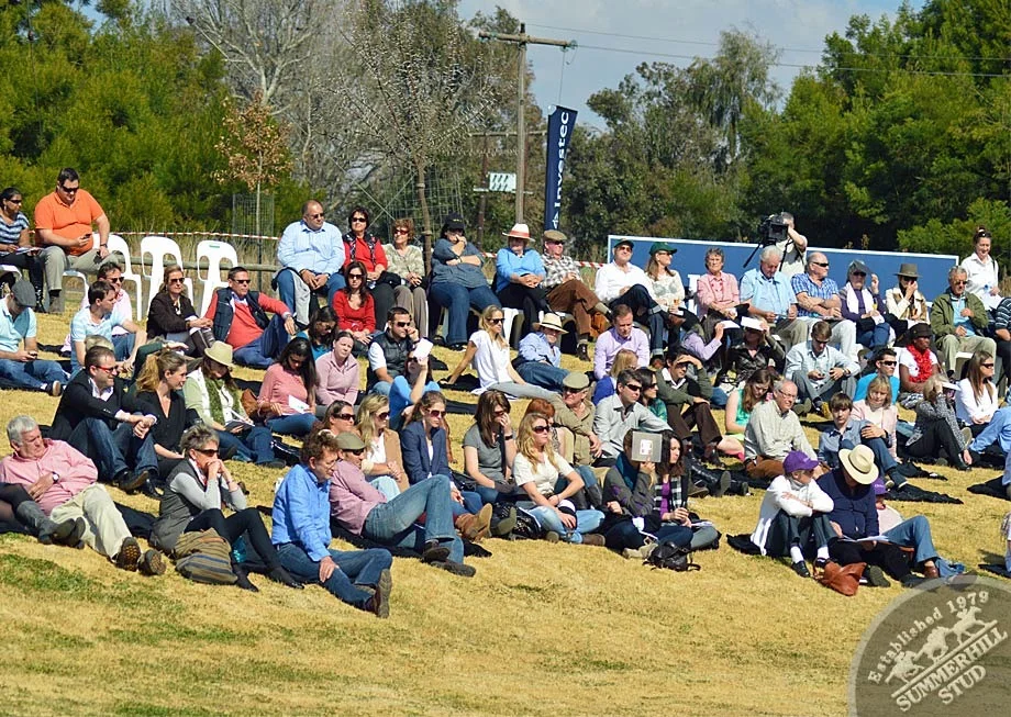 investec-stallion-day-2013-28.jpg