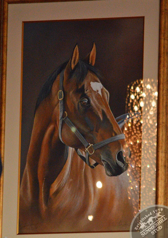 investec-stallion-day-2013-18.jpg