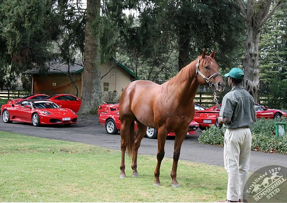 ferrari-club-15.jpg