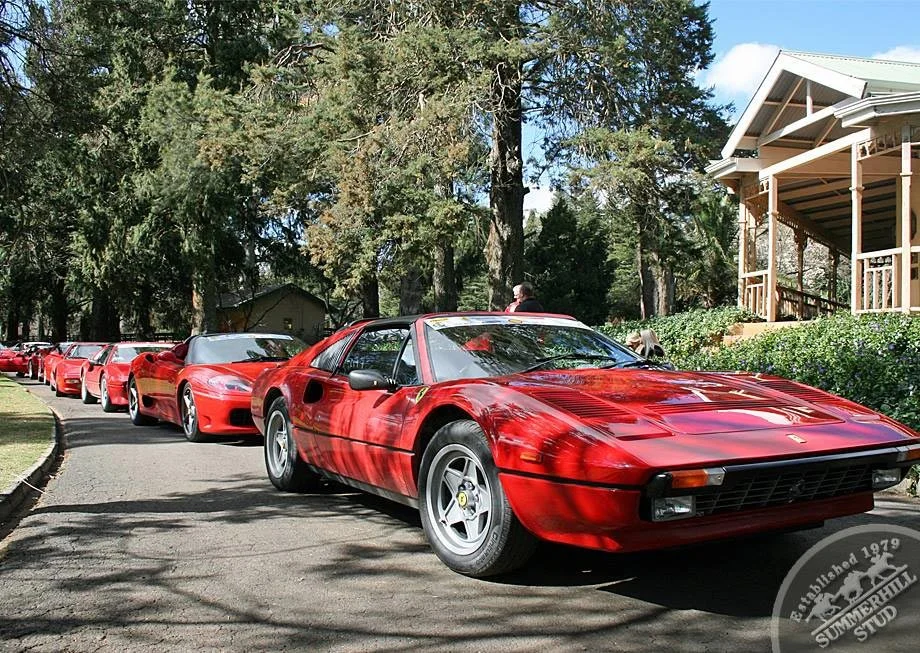ferrari-club-13.jpg