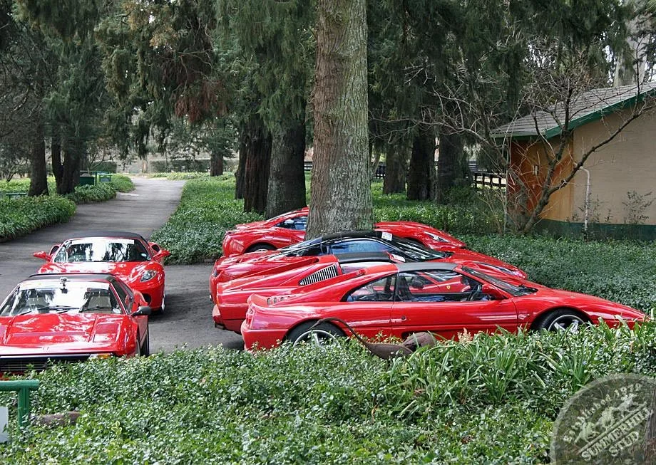 ferrari-club-12.jpg