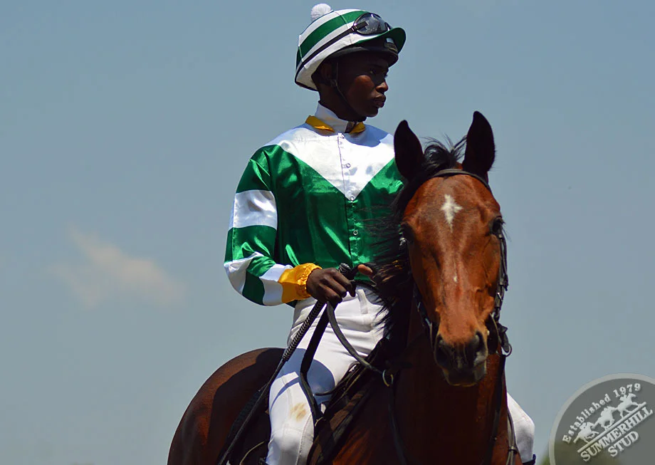 summerhill-ready-to-run-gallops-48.jpg