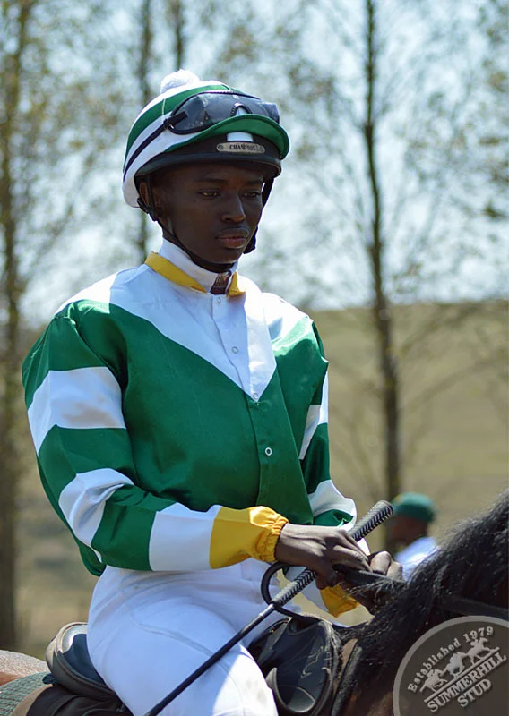 summerhill-ready-to-run-gallops-46.jpg