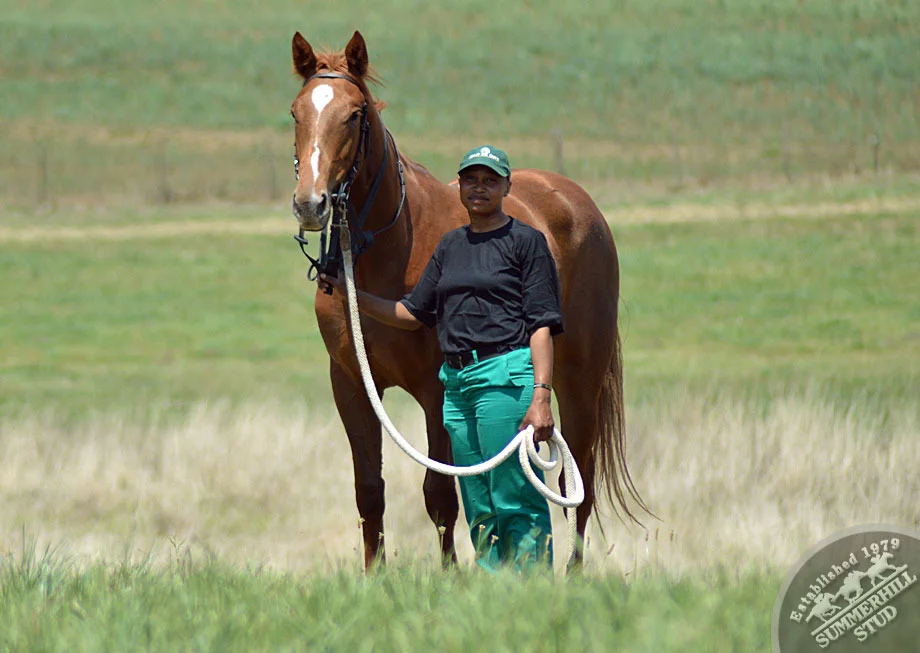 summerhill-ready-to-run-gallops-34.jpg