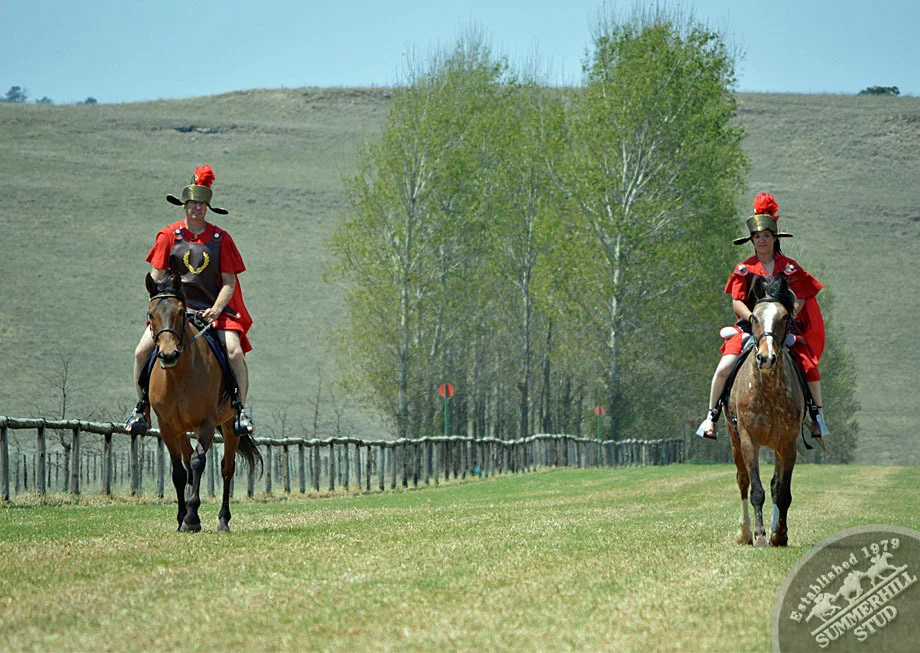 summerhill-ready-to-run-gallops-30.jpg