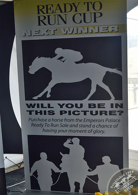 summerhill-ready-to-run-gallops-6.jpg