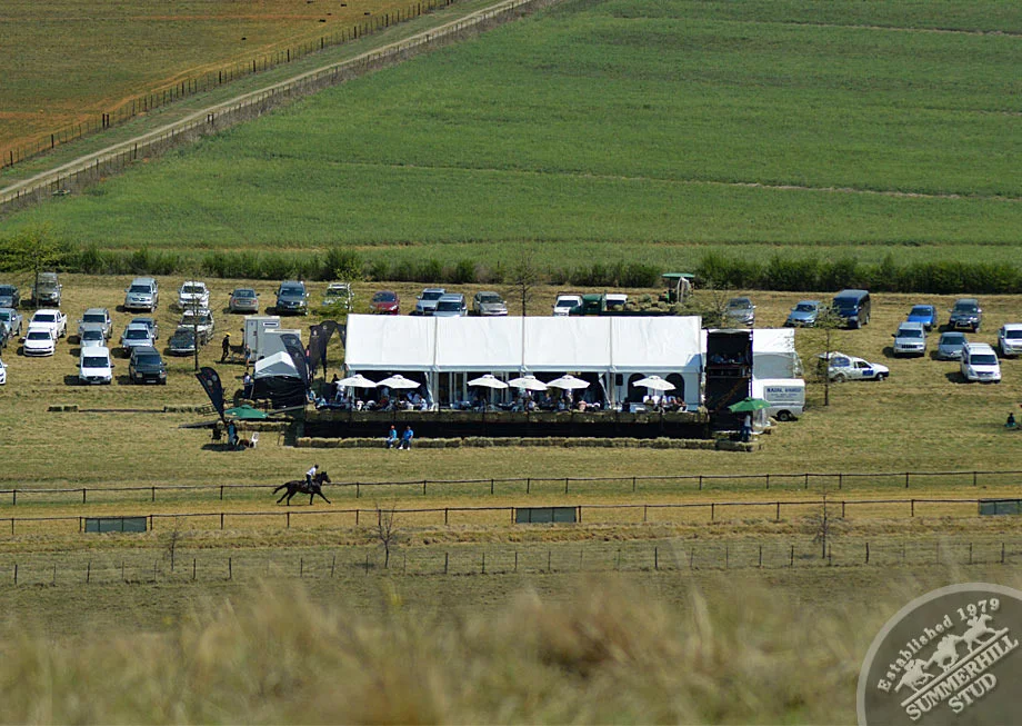 summerhill-ready-to-run-gallops-66.jpg