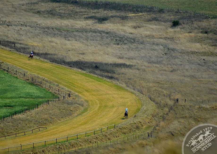 summerhill-ready-to-run-gallops-67.jpg