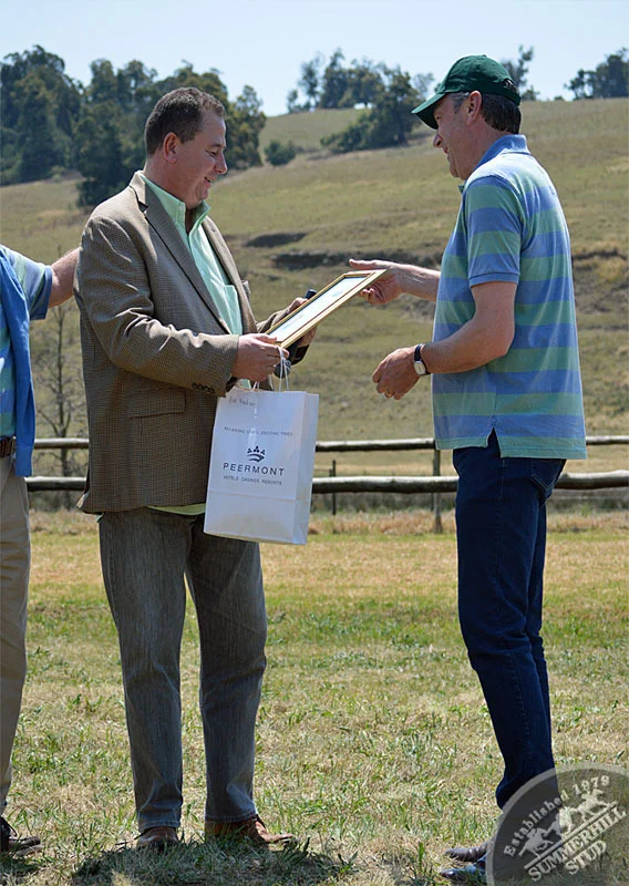 summerhill-ready-to-run-gallops-24.jpg