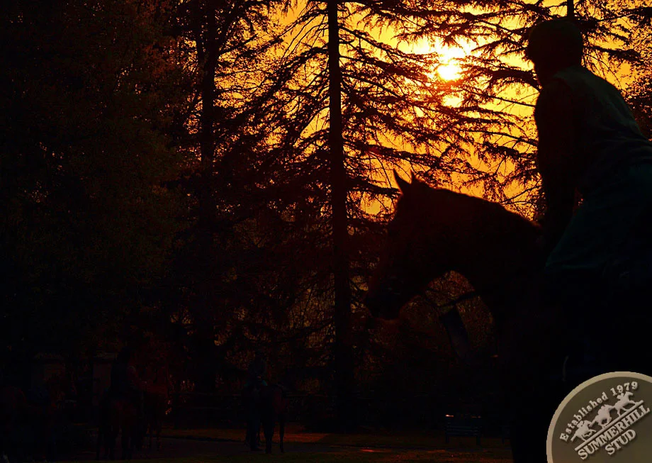 Ready To Run Pre-training 7