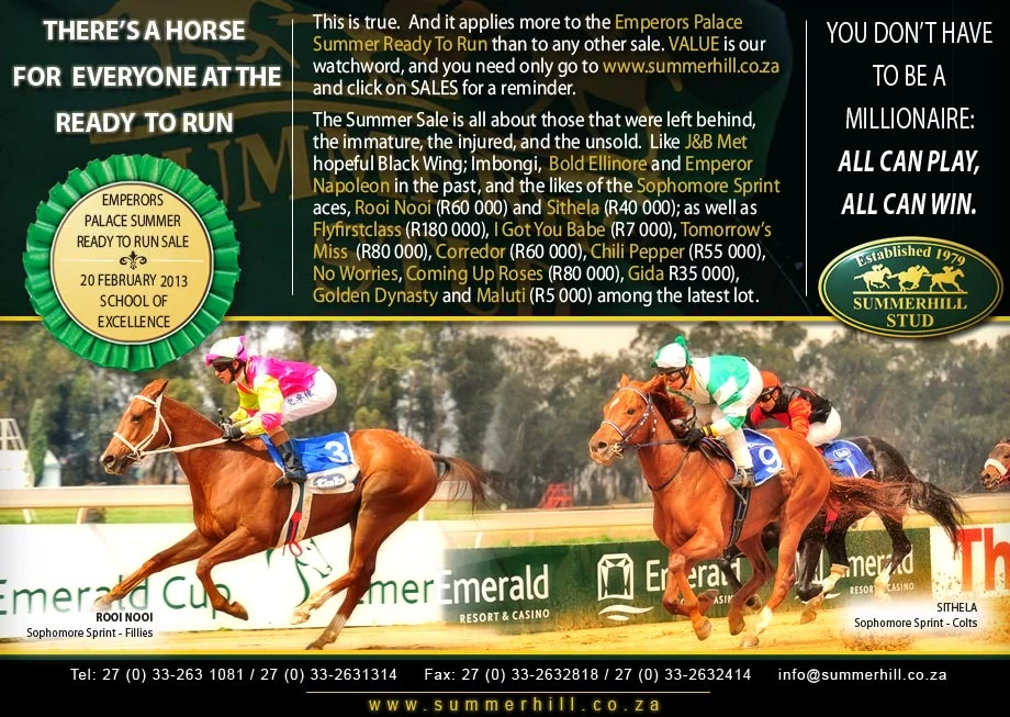 Summer Ready To Run Sale 2013