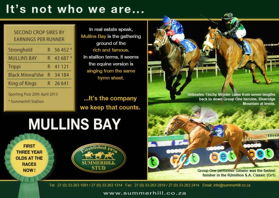 Mullins Bay - National Yearling Sale