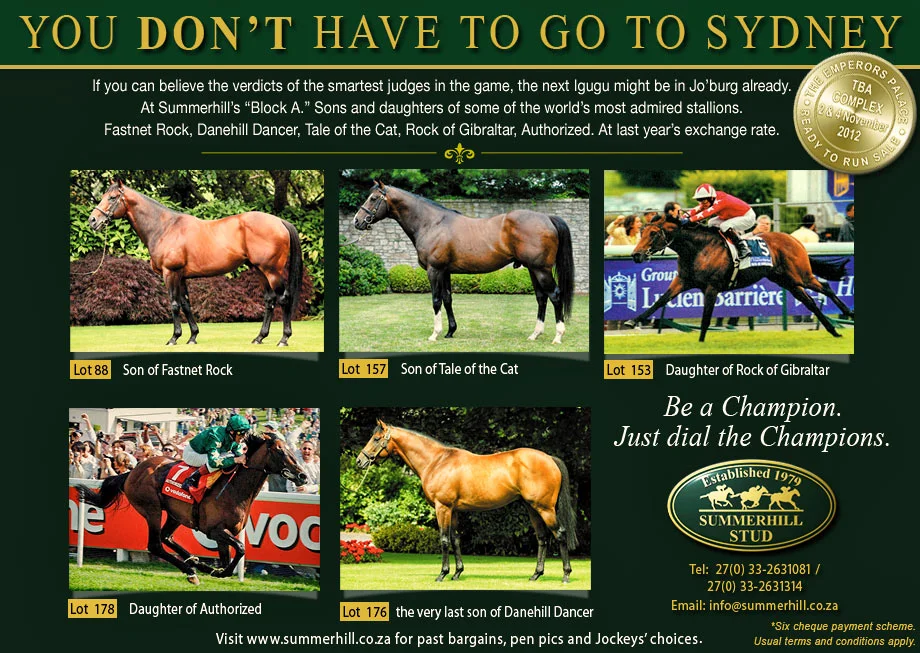 You don't have to go to Sydney