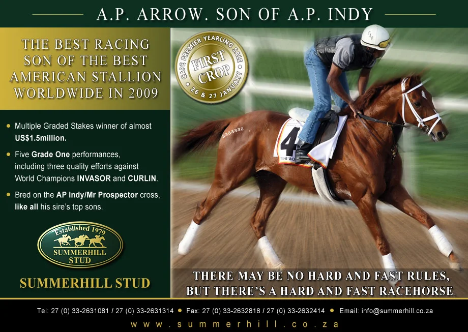 A.P. ARROW - SON OF A.P. INDY