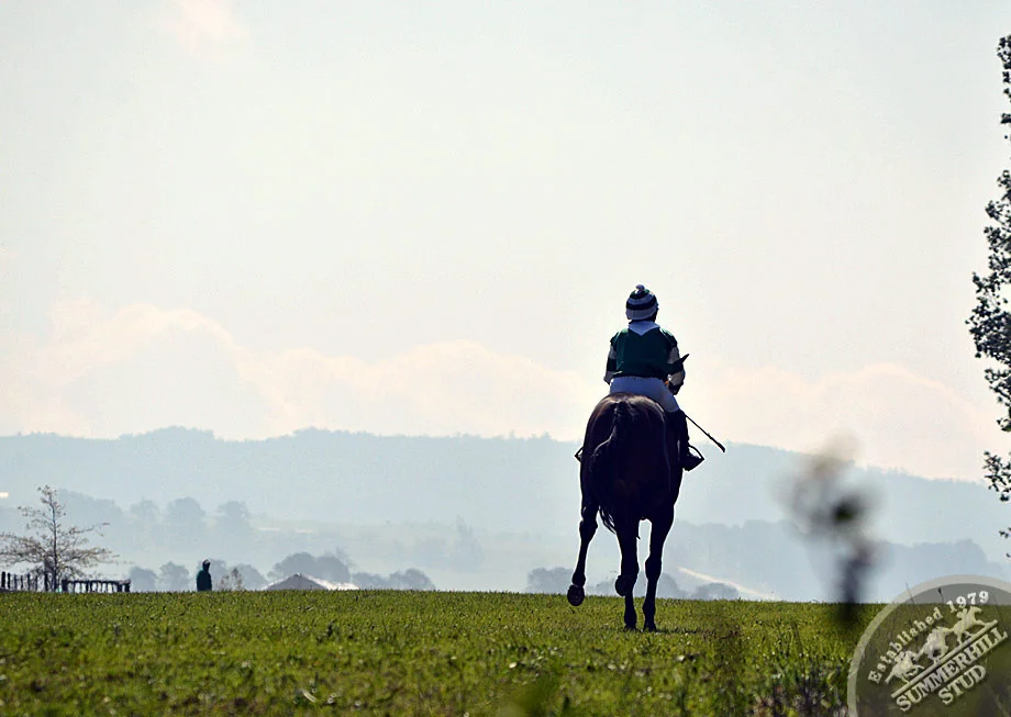 ready-to-run-gallops-summerhill-76.jpg