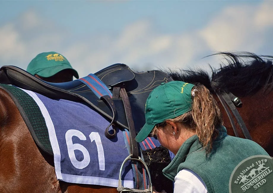 ready-to-run-gallops-summerhill-70.jpg