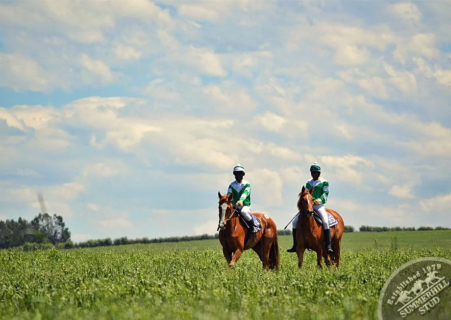 ready-to-run-gallops-summerhill-48.jpg