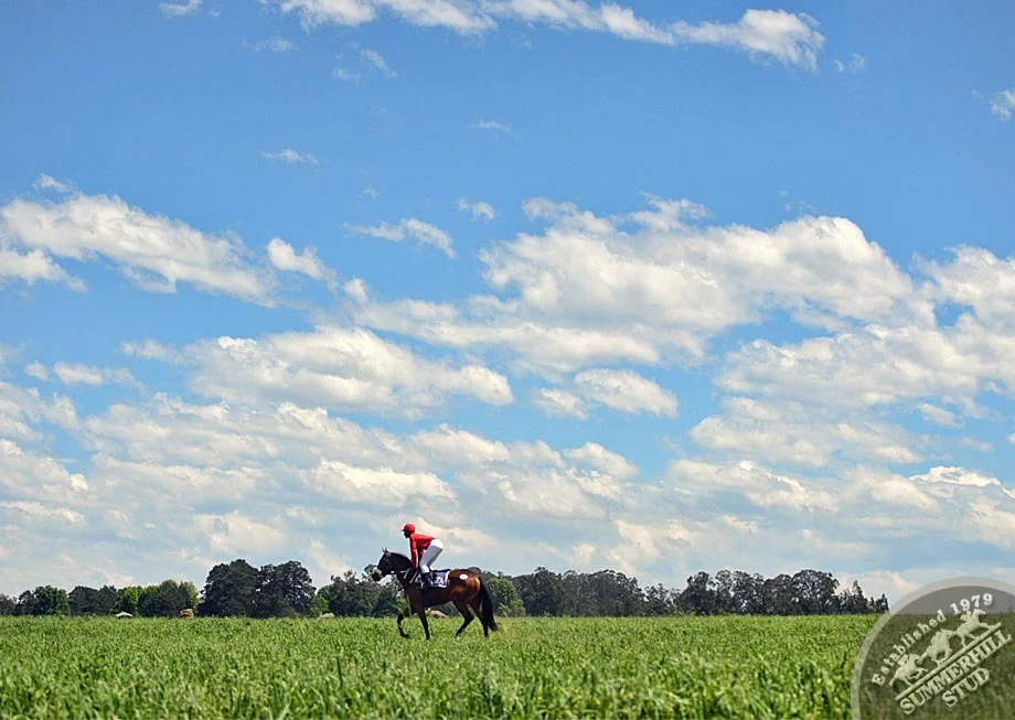 ready-to-run-gallops-summerhill-52.jpg