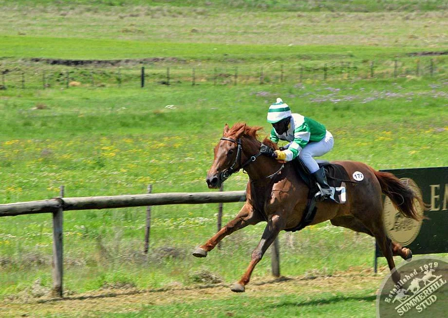 ready-to-run-gallops-summerhill-55.jpg
