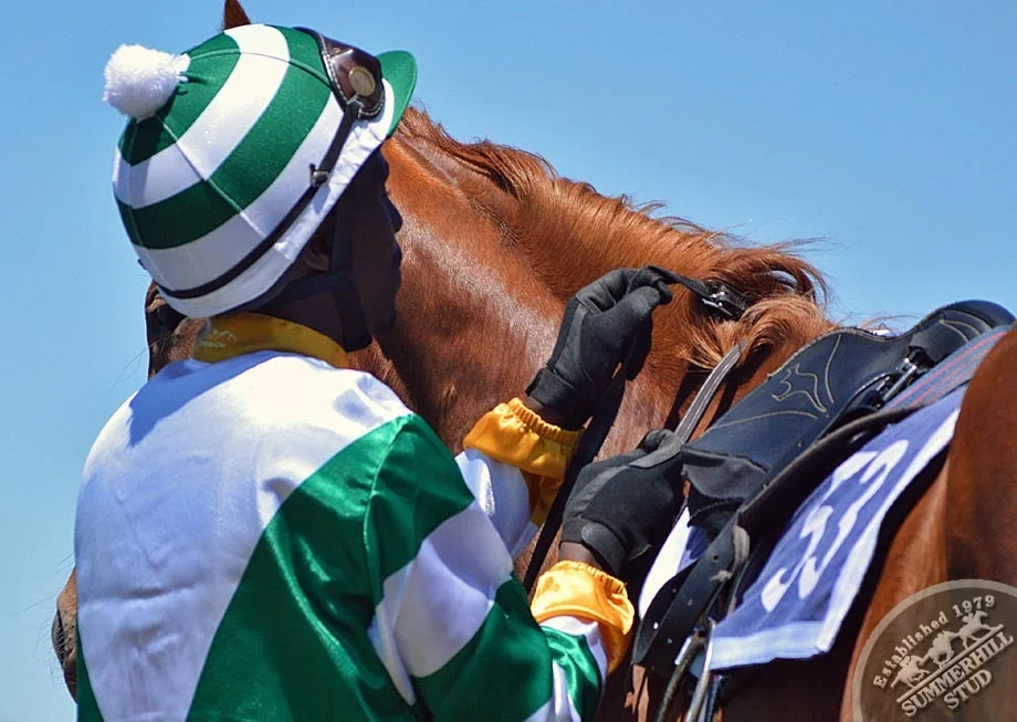 ready-to-run-gallops-summerhill-40.jpg