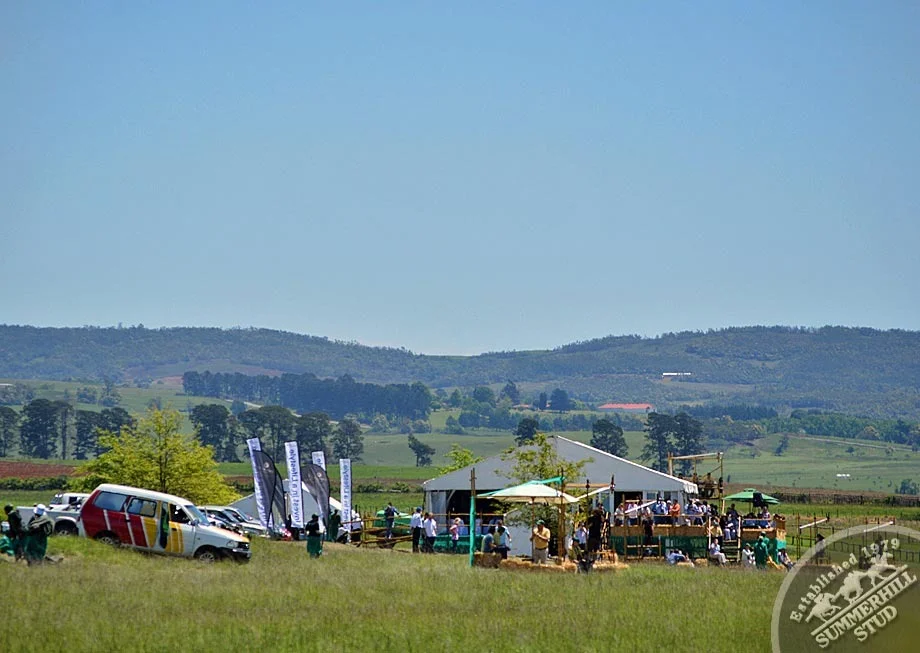ready-to-run-gallops-summerhill-42.jpg