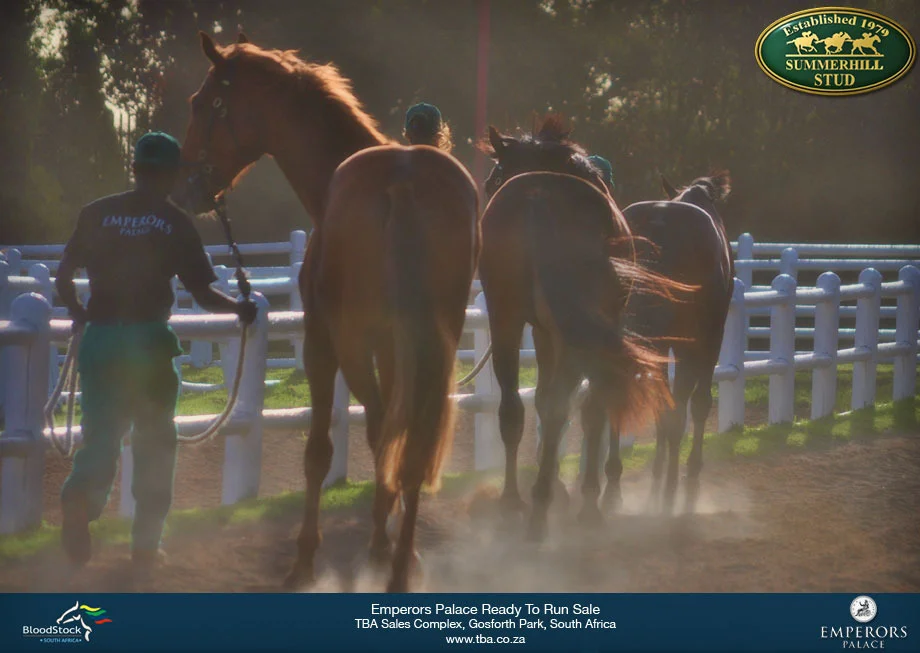 tba-sales-ground-3